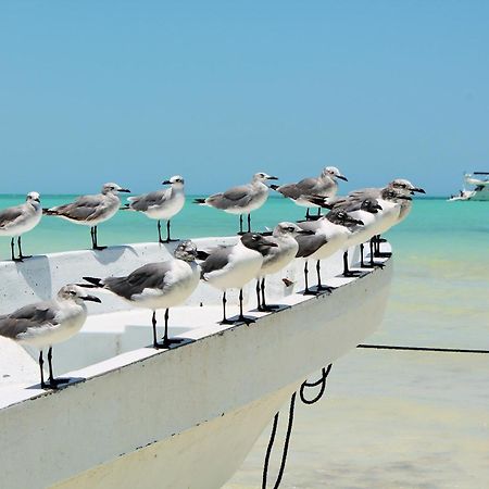 El Corazon Boutique Hotel - Adults Only With Beach Club'S Pass Included Isla Holbox Exterior photo