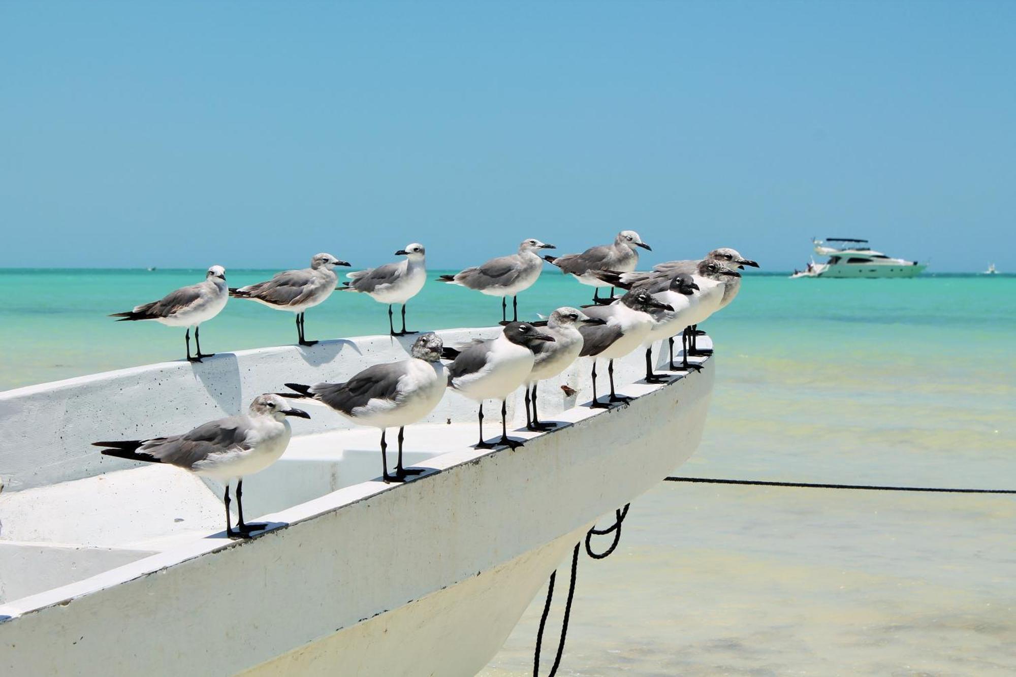 El Corazon Boutique Hotel - Adults Only With Beach Club'S Pass Included Isla Holbox Exterior photo