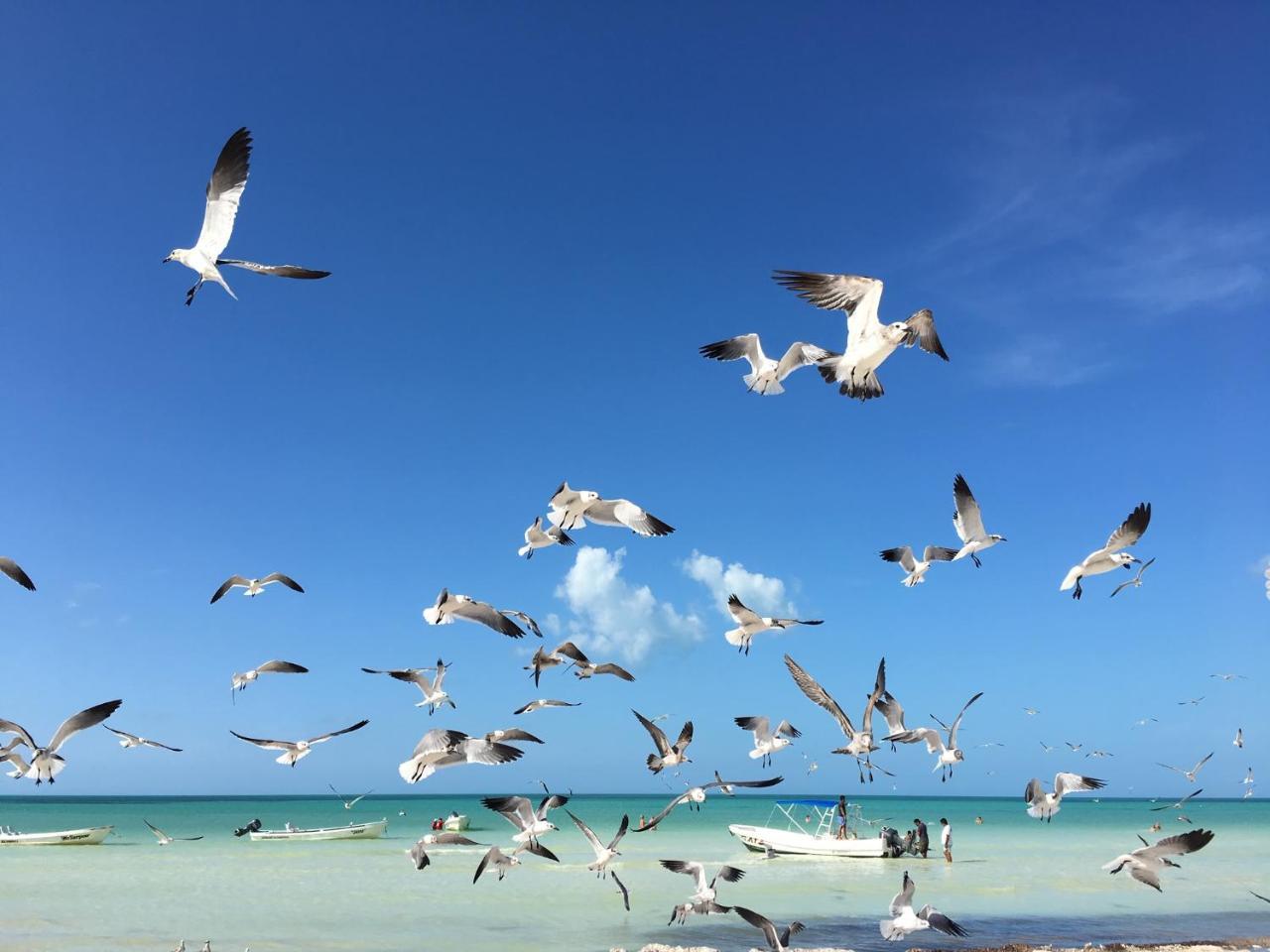 El Corazon Boutique Hotel - Adults Only With Beach Club'S Pass Included Isla Holbox Exterior photo